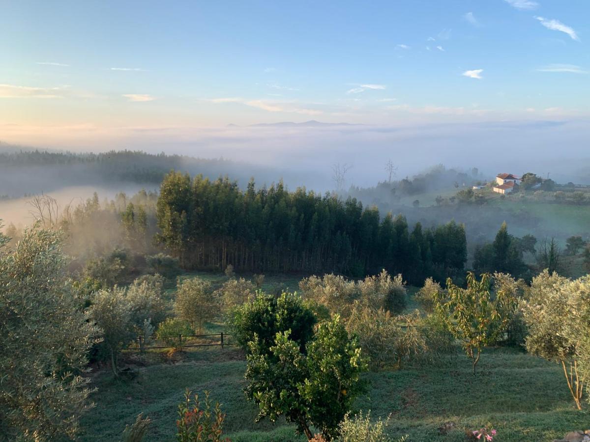 Quinta Lagares Hotel Penacova Eksteriør billede